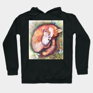 fox and rabbit love illustration with pens Hoodie